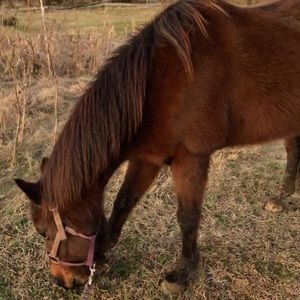 Meet your Posher, John